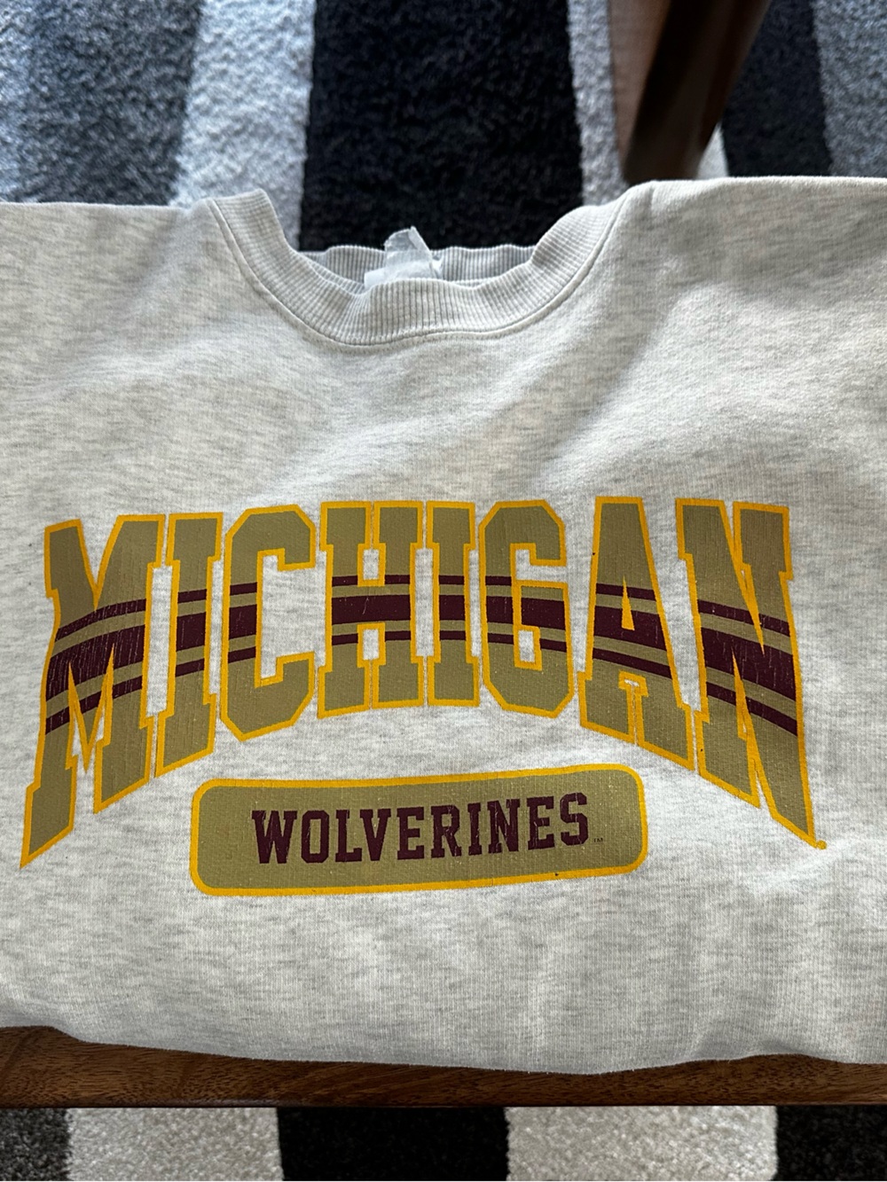 Champion Michigan Wolverines Crewneck Sweatshirt